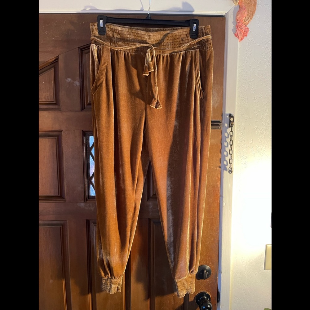 NWOT beautiful brown/gold elastic waist velvet high waisted joggers